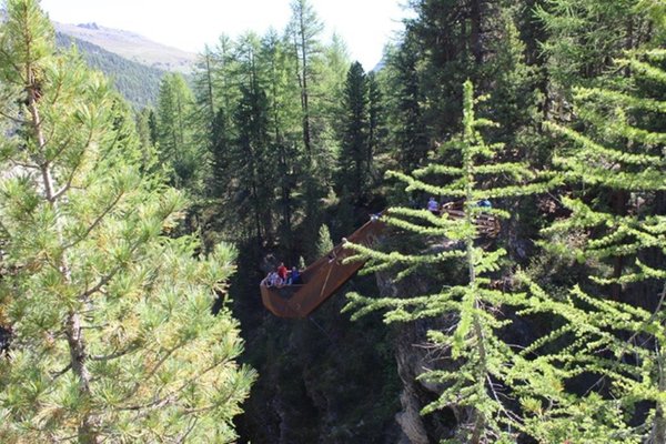 Bildergalerie Vinschgau Sommer