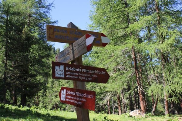 Bildergalerie Vinschgau Sommer