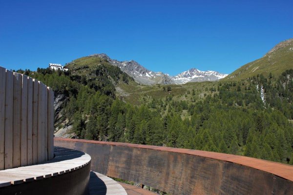 Bildergalerie Vinschgau Sommer