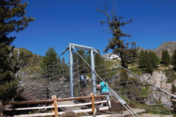 Bildergalerie Vinschgau Sommer