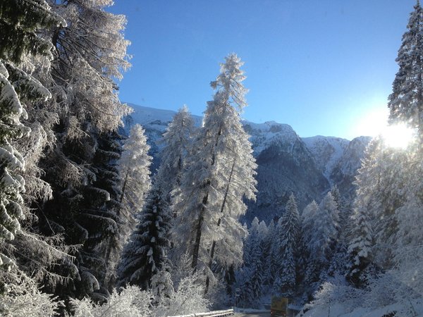 Photo gallery winter