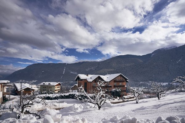 Foto esterno in inverno Michela