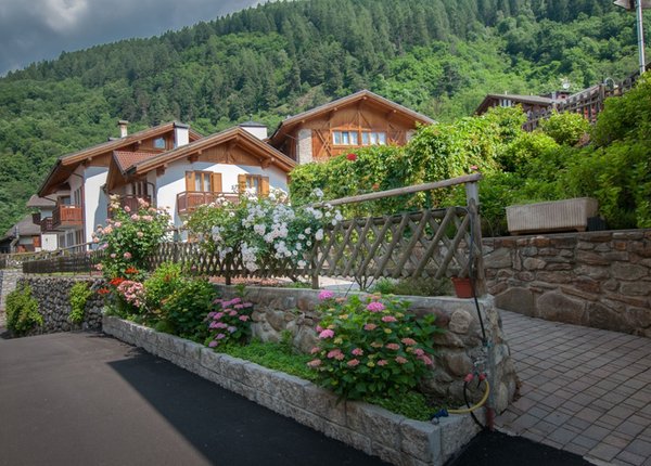 Sommer Präsentationsbild Val di Sole - Hotel + Residence 3 Stern sup.