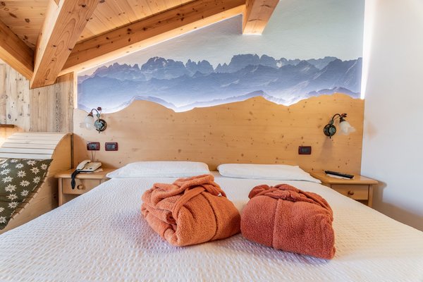 Foto della camera Hotel Genzianella