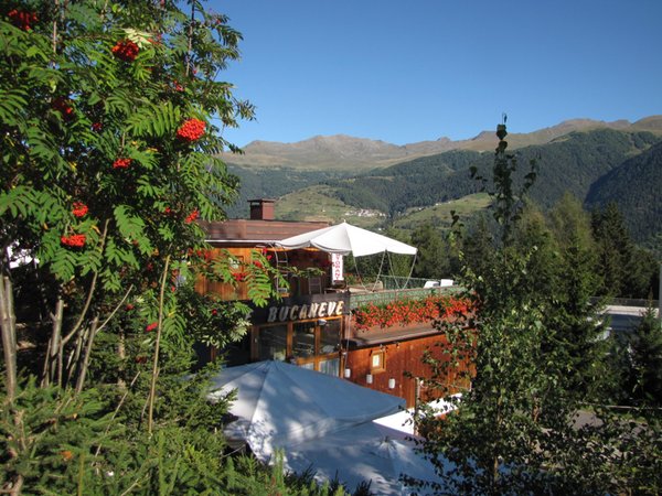 Foto esterno in estate Bucaneve