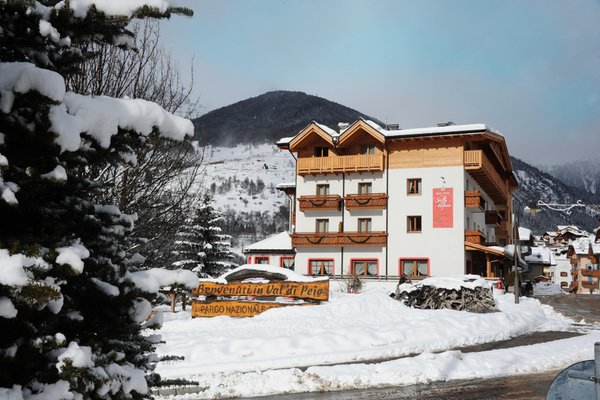 Foto esterno in inverno Sport Hotel Stella Alpina