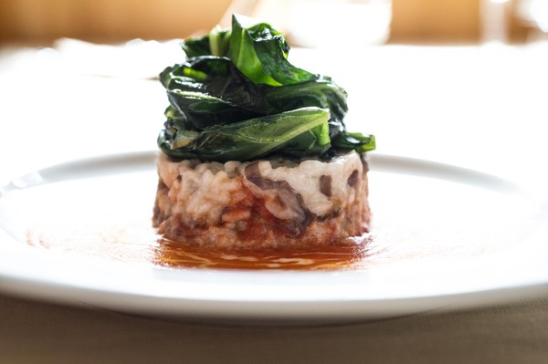 Ricette e proposte gourmet Sport Hotel Vittoria