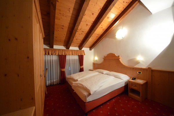 Photo of the room Hotel Gardenia
