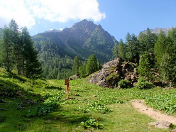 Bildergalerie Sommer