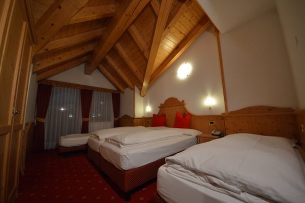 Photo of the room Hotel Gardenia