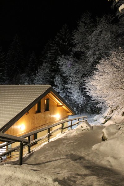 Foto esterno in inverno Chalet Presanella