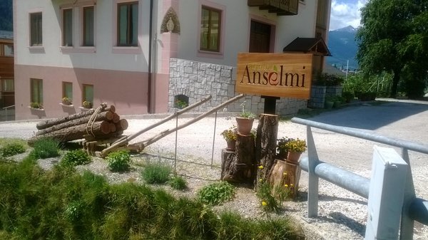 Foto esterno in estate Anselmi