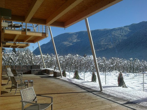 Foto della terrazza