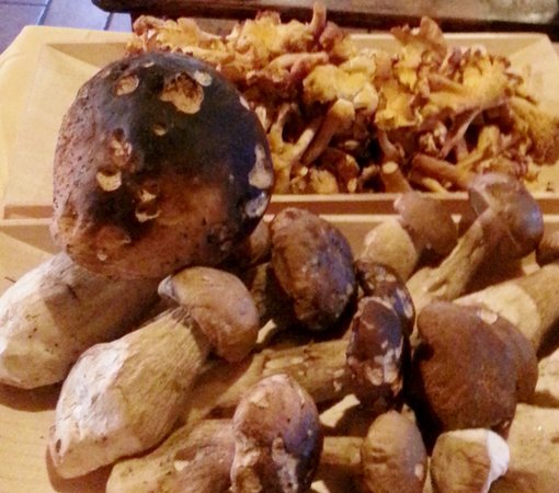 Ricette e proposte gourmet Belotti