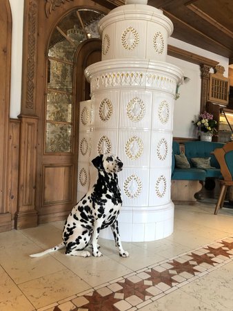 Foto della stube Bed & Breakfast Kaiserkrone