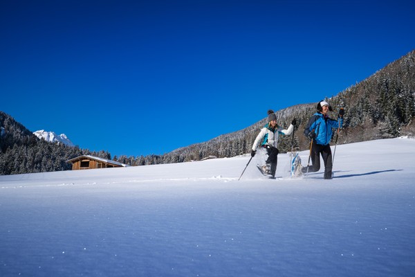 Attività Val di Sole e Val Rendena