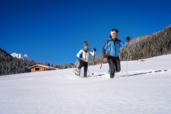 Attività Val di Sole e Val Rendena