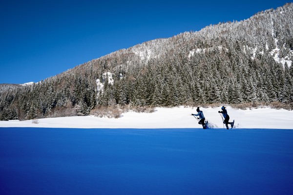 Attività Val di Sole e Val Rendena