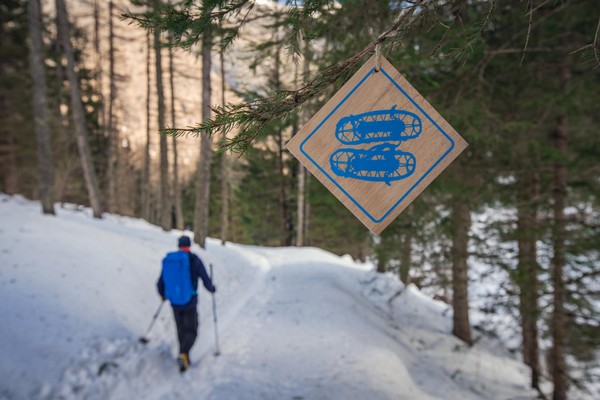 Attività Val di Sole e Val Rendena