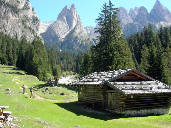 Typische Darstellung von Tiers (Seiser Alm)