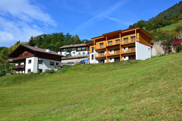 Foto esterno in estate Edelweiss