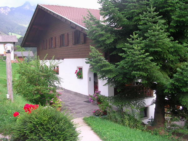Foto del giardino Tires