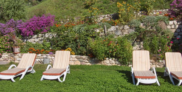 Foto del giardino Tires
