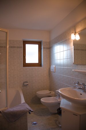 Foto del bagno Appartamenti in agriturismo Messnerhof