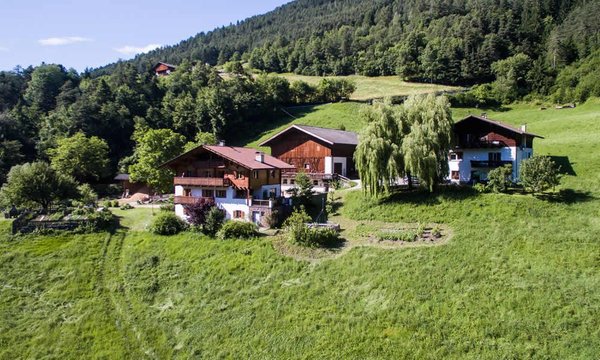 Sommer Präsentationsbild Ferienwohnungen auf dem Bauernhof Platschgolerhof
