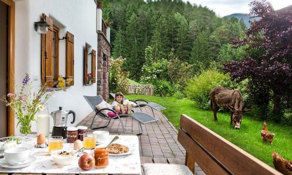 Foto vom Garten Tiers