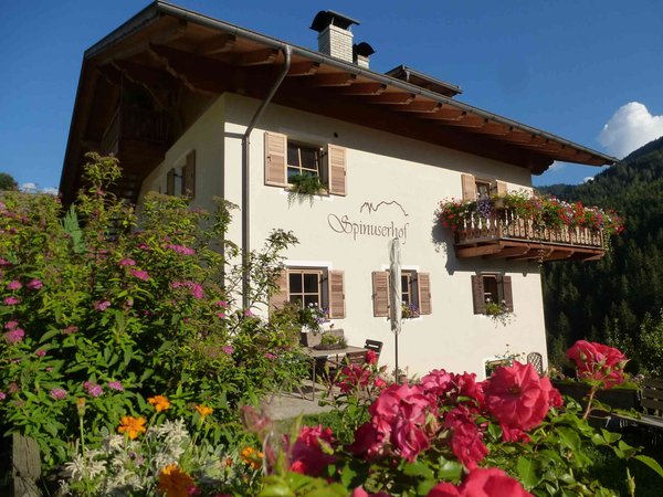 Foto estiva di presentazione Appartamenti in agriturismo Spinuserhof
