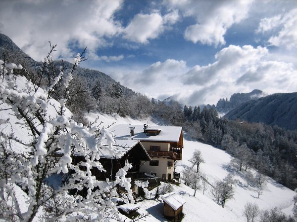 Foto esterno in inverno Spinuserhof