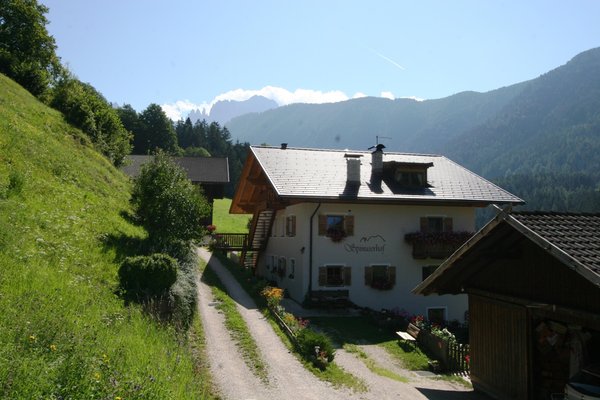 Foto esterno in estate Spinuserhof