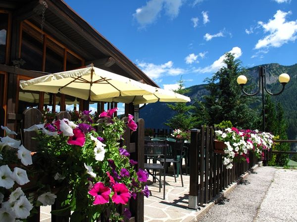 Photo of the garden Folgarida
