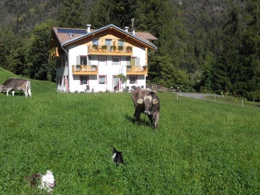 Foto esterno B&B in agriturismo Sole Levante