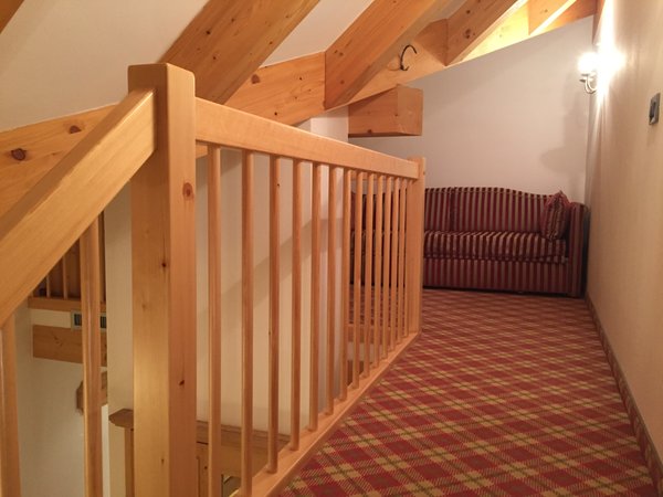 Photo of the apartment Campiglio Bellavista