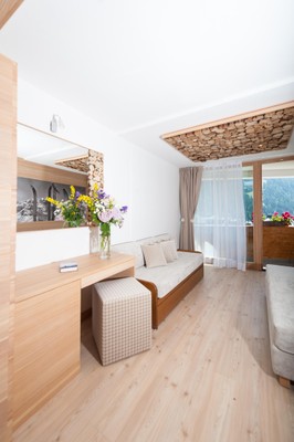 Foto della camera Hotel Dahu