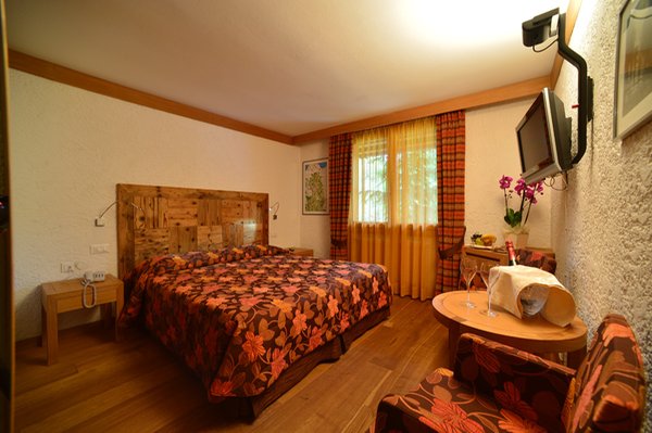Photo of the room Hotel Grifone