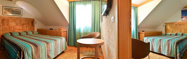 Photo of the room Hotel Grifone