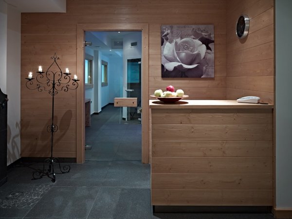 Photo of the wellness area Hotel Ariston