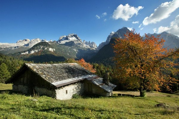 Photo gallery Pinzolo (Pinzolo - Val Rendena) summer