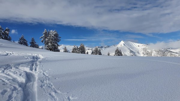 Bildergalerie Pinzolo (Pinzolo - Val Rendena) Winter