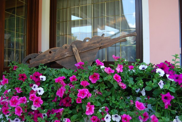 Foto esterno Hotel Quadrifoglio