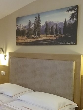 Foto della camera Hotel Alpina