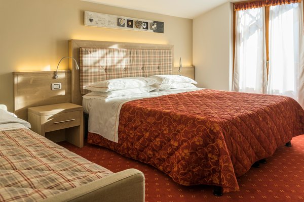 Foto della camera Hotel Alpina