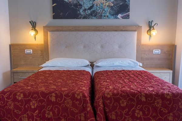 Foto della camera Hotel Alpina
