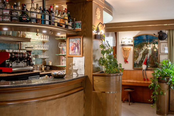 Foto del bar Hotel Orso Grigio