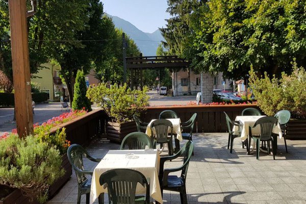 Foto del giardino Pinzolo (Pinzolo - Val Rendena)