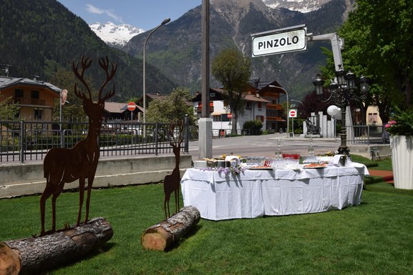 Photo of the garden Giustino (Pinzolo - Val Rendena)