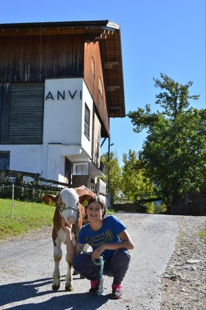 Foto degli animali
